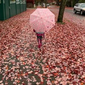 Meet your Posher, Dee